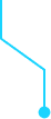 vector decoration