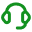 Audit Support